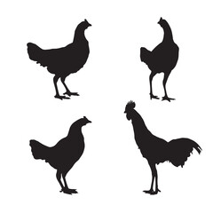 Silhouette of Rooster and chicken hen vector icon set illustration on white background.