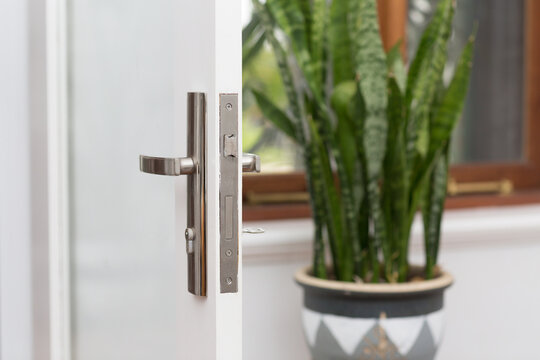 Open door with modern door latch with house plant behind