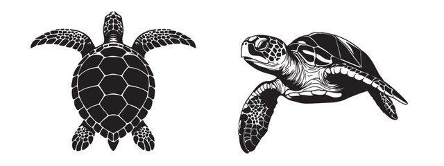 Silhouette of Sea turtle vector icon set illustration isolated on white background.