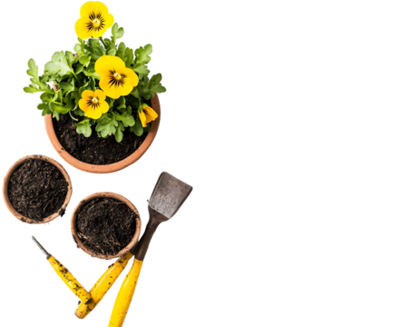 Yellow Pansies and Gardening Tools on Transparent Background, PNG