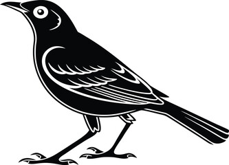 Obraz premium Red-winged blackbird silhouette, bird silhouette on a white background