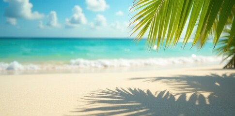 Fototapeta premium Sun-drenched sand, sharp coconut leaf shadow, blurred ocean, shadow, summertime