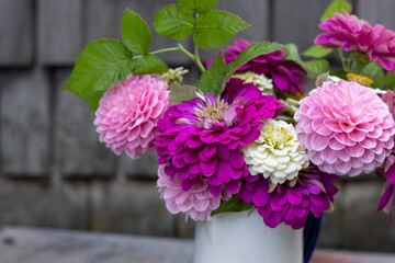 Pink and white zinnias in a white vintage metal jug outdoors.