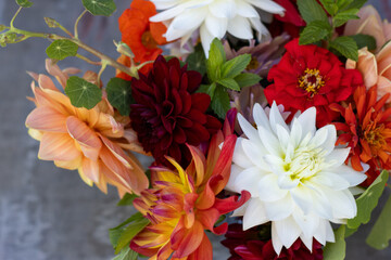 Many colours of dahlias in an arrangement on a rustic table. © Cavan