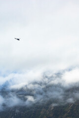 Helicopter over Milford Sound, New Zealand