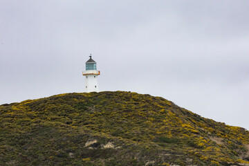 Lighthouse on Mountain on coast of New Zealand