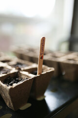 close up of indoor starters