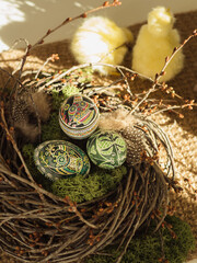 Three Easter Eggs in Nest with Chicken in Sunlit Backdrop