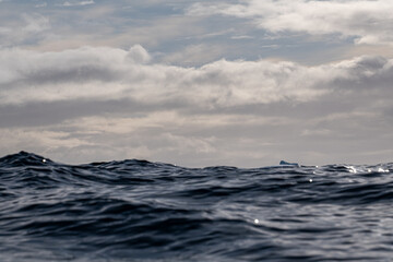Southern Ocean. Water. Antarctica. Endless water