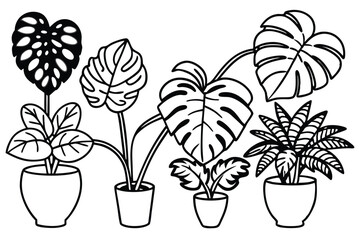 monstera line art chic living room wall accent