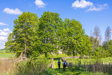 People walking on a path with a wooden pole fence in the countryside