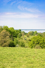 View from a meadow over lush green treetops to a lake