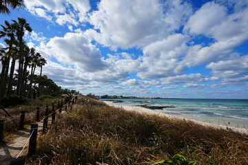Obraz premium fine view with seaside walkway and charming clouds