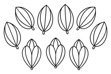 moringa line art artistic depiction of organic nature