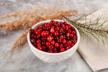 Ripe sweet sour cranberry heap