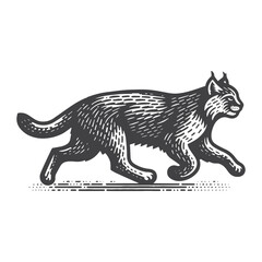 Obraz premium Simple Bobcat Running Vector Icon Design – Vintage Retro Logo & Illustration