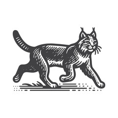Obraz premium Simple Bobcat Running Vector Icon Design – Vintage Retro Logo & Illustration