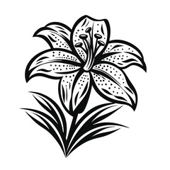 Striking Black and White Lily Flower with Bold Lines & Detailed Design