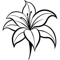 Vector silhouette of a lily flower with long, elegant petals extending outward,