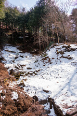 林道は少し積雪していた。
獣の足跡もある。
神奈川県清川村、早戸川林道-2025年
