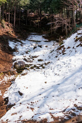 林道は少し積雪していた。
獣の足跡もある。
神奈川県清川村、早戸川林道-2025年
