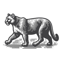 Fototapeta premium Simple Mountain Lion Walking Vector Icon Design – Vintage Retro Logo & Illustration