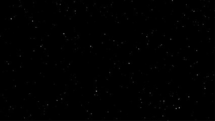 Snowfall on a black background.