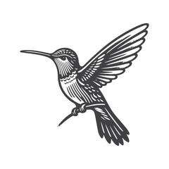 Obraz premium Simple Hummingbird Flying Vector Icon Design – Vintage Retro Logo & Illustration