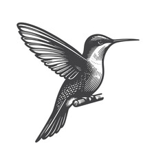 Obraz premium Simple Hummingbird Flying Vector Icon Design – Vintage Retro Logo & Illustration