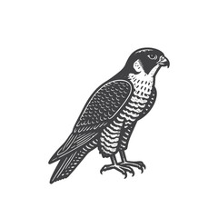 Obraz premium Simple Peregrine Falcon Side View Vector Icon Design – Vintage Retro Logo & Illustration
