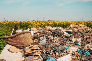 Illegal dumping in cultivated rapeseed field