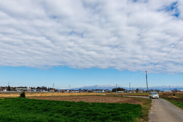 畑地の中のエモーショナルな農道
背景には山脈が見える。
群馬県太田市利根川河川敷-2025年
