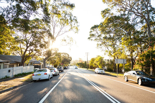 Parked cars on the side of a Newcastle road with sun flare through gum trees
