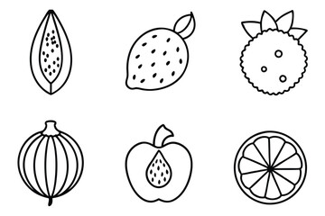 miracle fruit line art elegant exotic fruit graphic