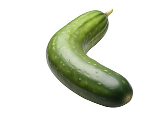 Fresh Green Cucumber Vegetable Stock Photo: High-Resolution Image of Single Curved Cucumber