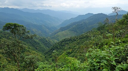 Fototapeta premium Majestic Mountain Range in Lush Green Valley