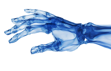  X-ray image of a hand, with a transparent background png 