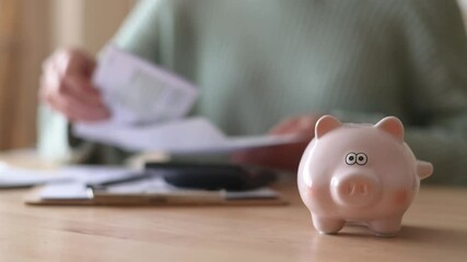 Experienced Mature Woman Planning Retirement Fund By Managing Daily Expenses And Saving Strategies At Home