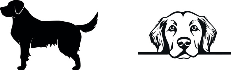 vector illustration of dog