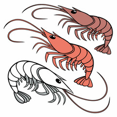 shrimp vector illustration icon