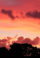 Obraz premium Silhouetted trees against a vibrant pink and orange sunset sky, fluffy clouds, visual, sunset