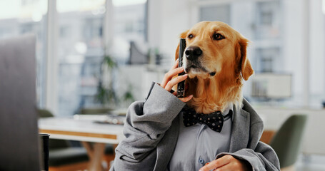 Phone call, planning and consultant with business dog in office for pet insurance agent, health...