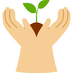 Reforestation Illustration