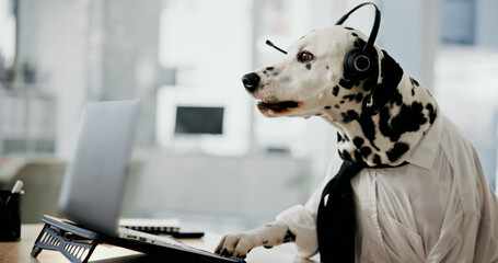 Dog, headphones and consulting for customer support at call center, computer and mic at pet insurance agency. Animal, dalmatian and laptop with voip, contact us and listening at help desk in office