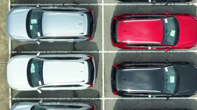 The aerial shot showcases rows of pristine vehicles neatly arranged in parking spaces, highlighting the organized nature of car storage and display at a dealership or distribution center.

