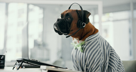 Dog, agent and call center with headset for pet care, service or animal advice at office. Canine,...