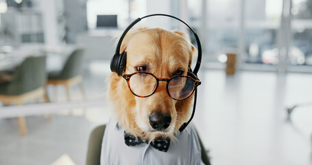 Headset, spectacles and dog call center agent for dress up or funny role play for customer service....