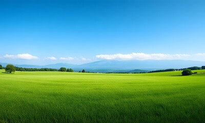 Obraz premium Green grassy field with trees and mountains in distance.