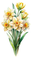 Elegant Watercolor Bouquet of Daffodils and Tulips on a Trensprent Background png