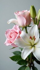 Obraz premium Delicate pink roses & white lilies, grey backdrop, nature, summer, macro